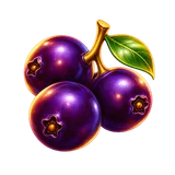 Rolo 2, linha 4: Açaí